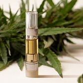 ARE YOU PLANNING TO VAPE CBD?