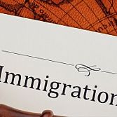 Immigration Law Service