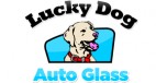 Lucky Dog Auto Glass